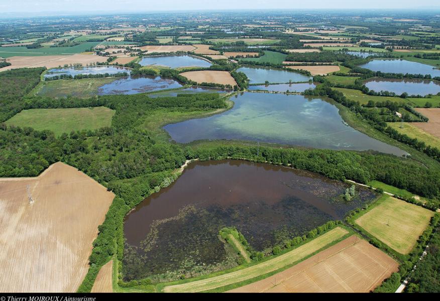 Les étangs de la Dombes vus du ciel