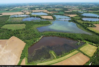 Les étangs de la Dombes vus du ciel