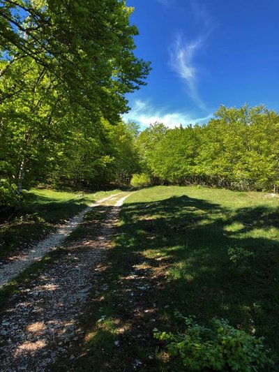 Plateau de Retord