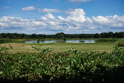 Réserve de Biterne