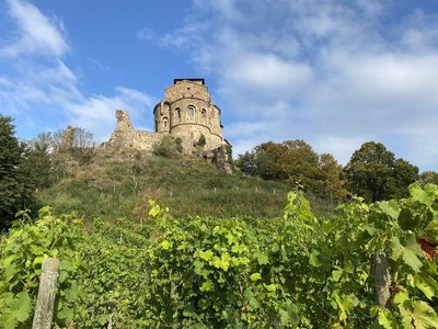 Vignes et prieuré