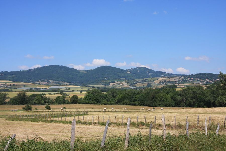 Vue Monts du Lyonnais