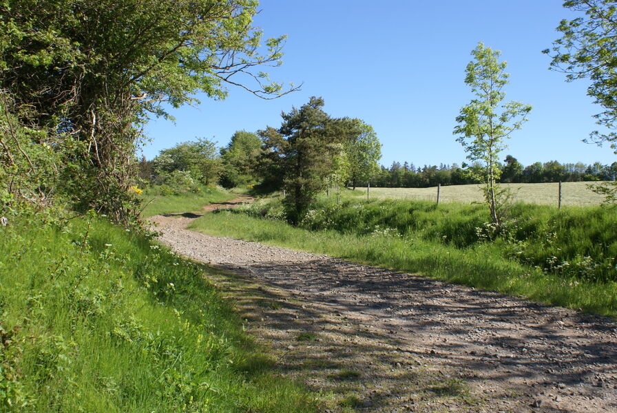 Piste VTT vers le Bois de Chabridet