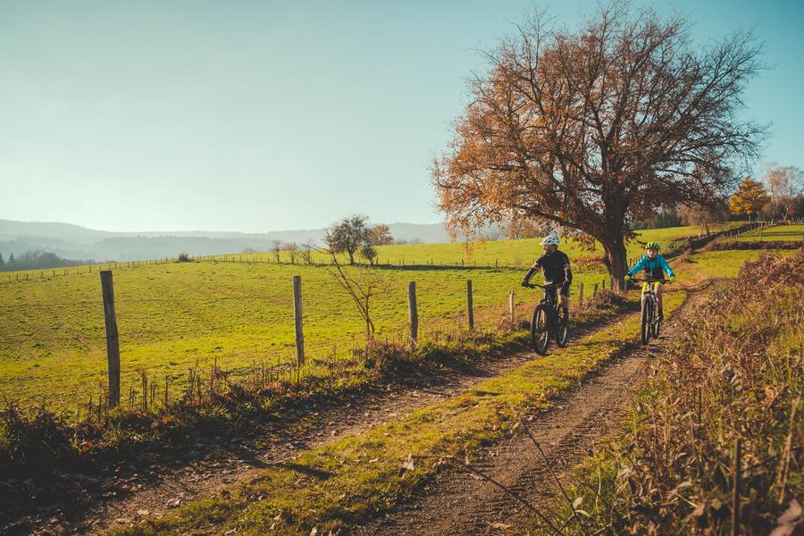 N°G - Circuit Gravel Autour du Rhodon_Montagny