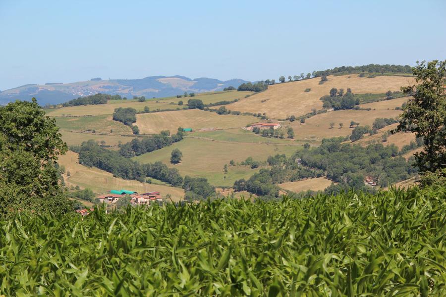 Paysage