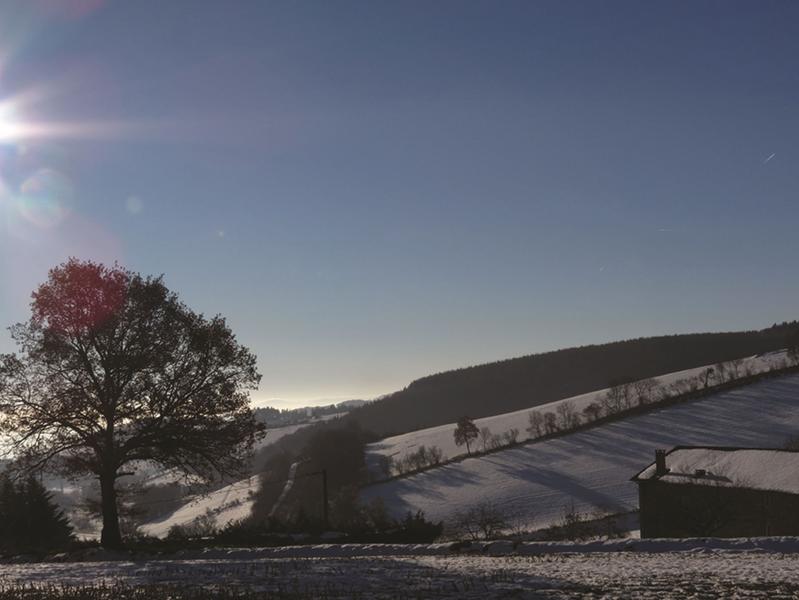 Paysage hivernal