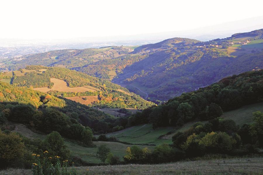 Paysage