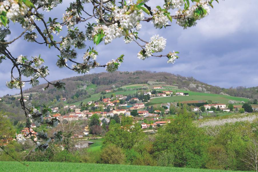 Paysage