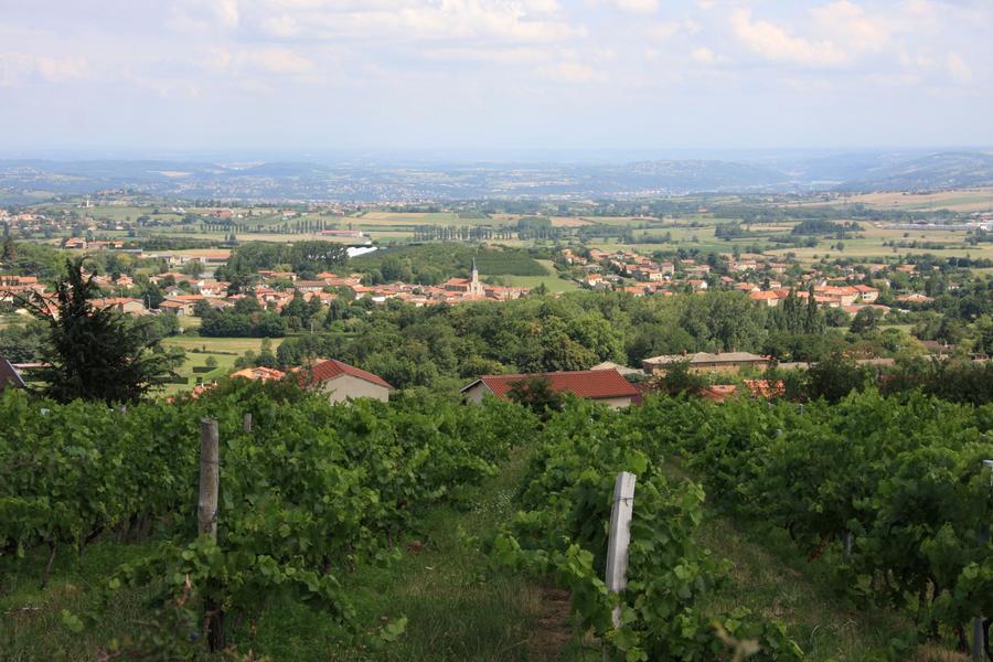 Paysage