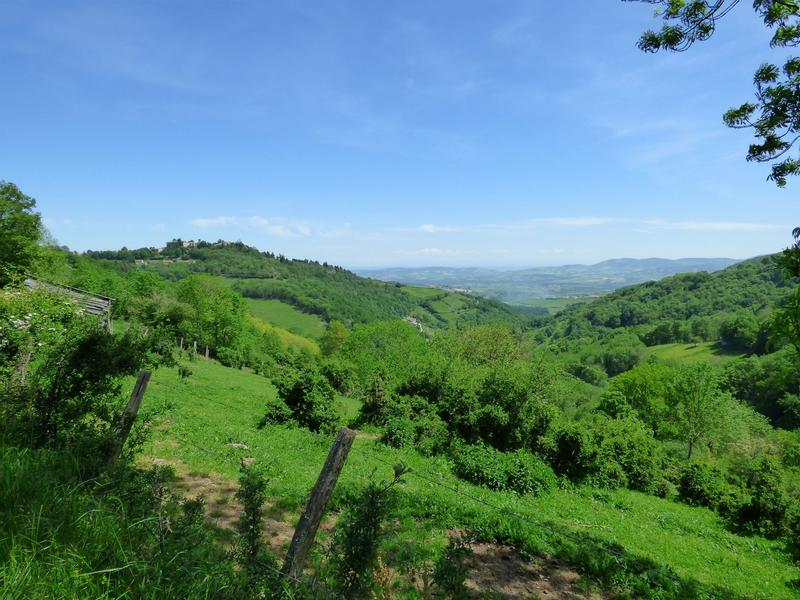 Paysage