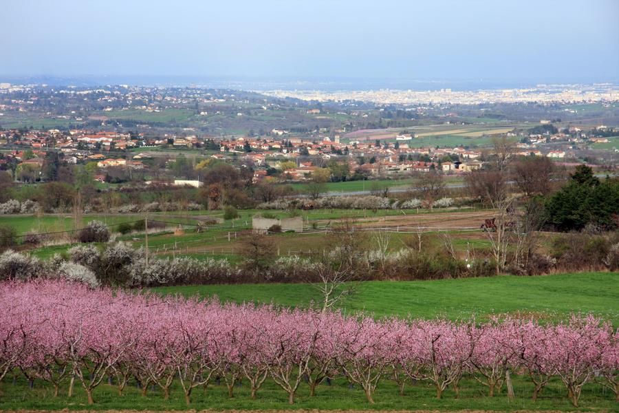 Paysage
