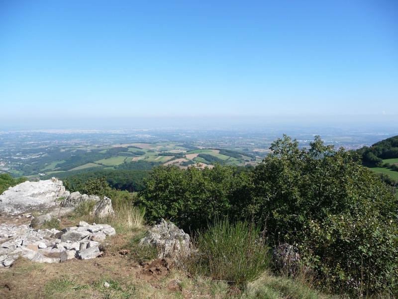 Paysage