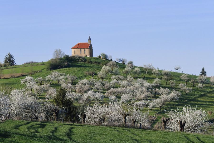 Chapelle de Ripan