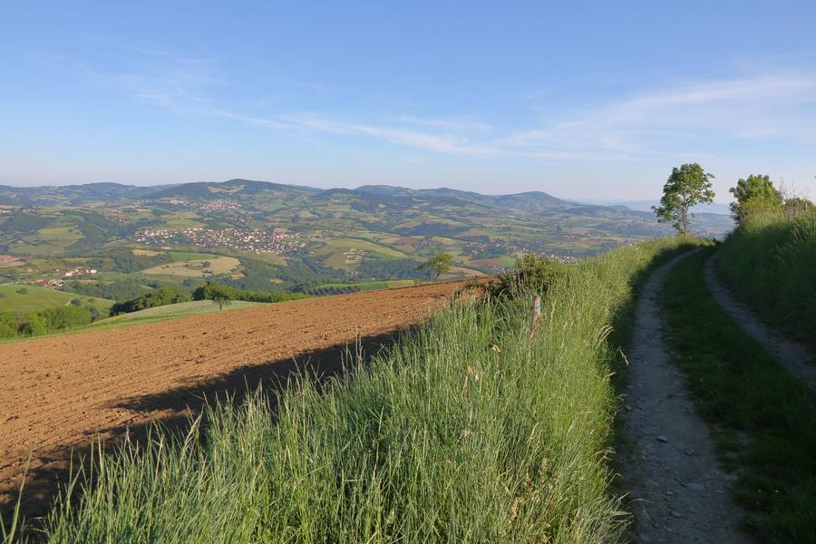 Paysage