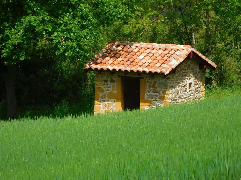 Cabane de vigne
