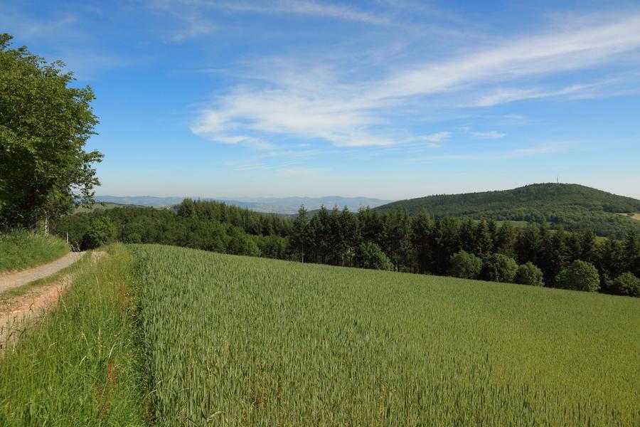Paysage