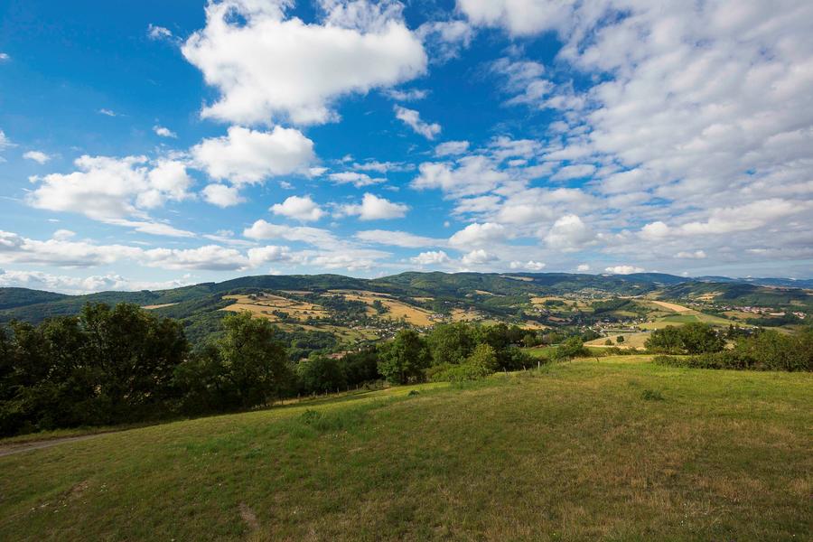 Paysage