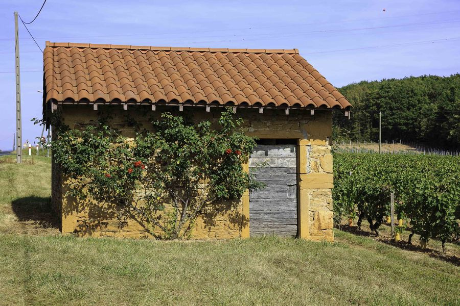 Cabane de vigne