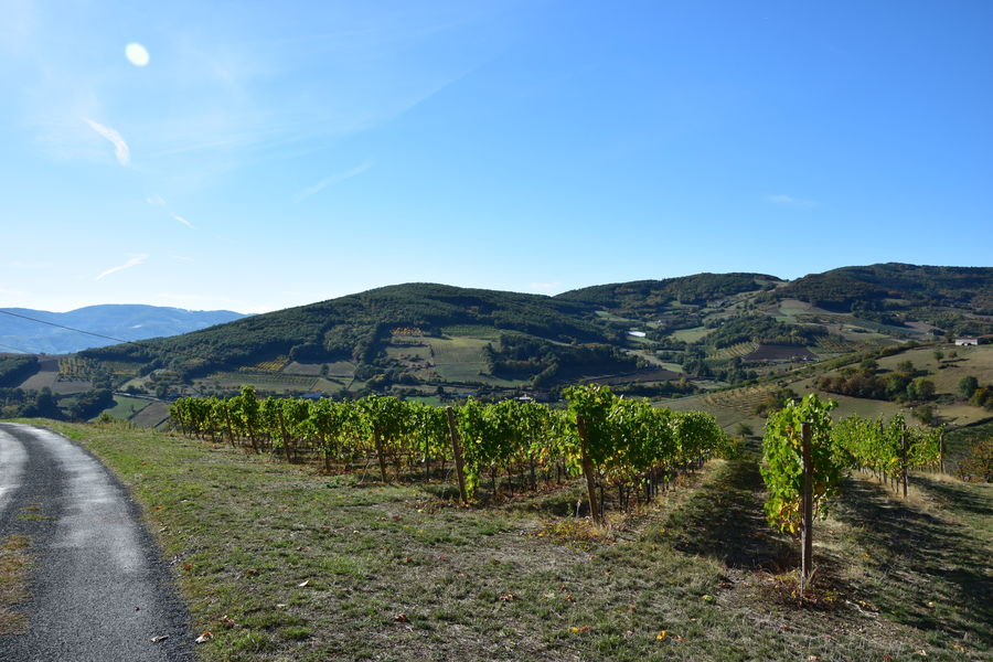 Vue près de Bibost