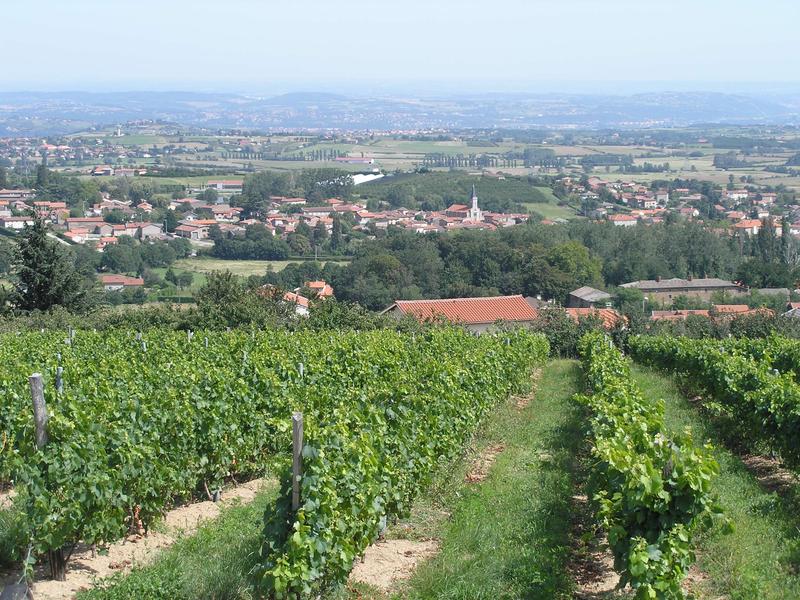 Paysage