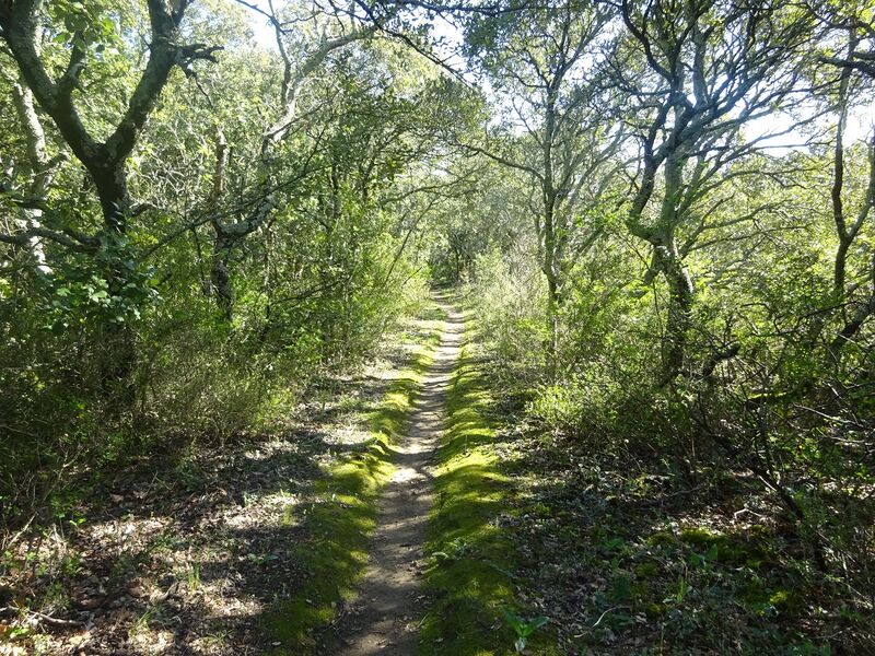 Le Rouvergue