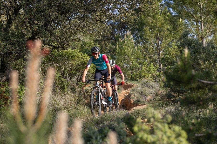 Les bois de la Garde_La Garde-Adhémar