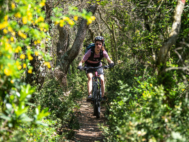 Forêt VTT Puygiron