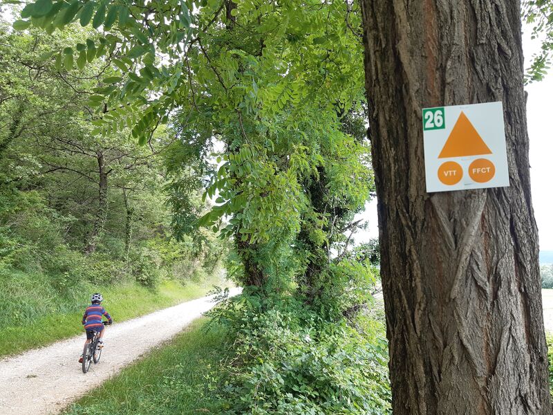 VTT dans les sentiers