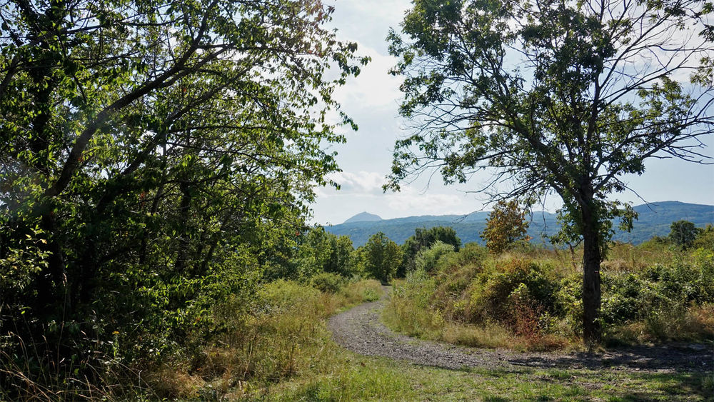 Plateau de la Bade