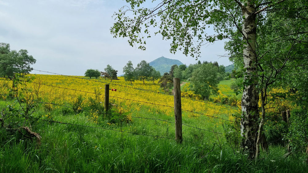 Randonnée La Croix de Ternant