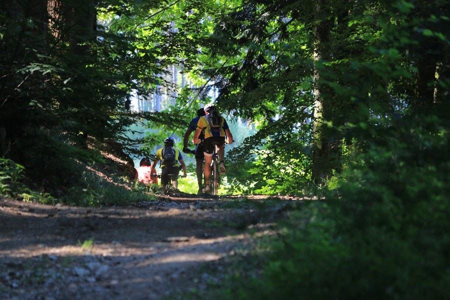 Chemin près de la Celles sur Durolle