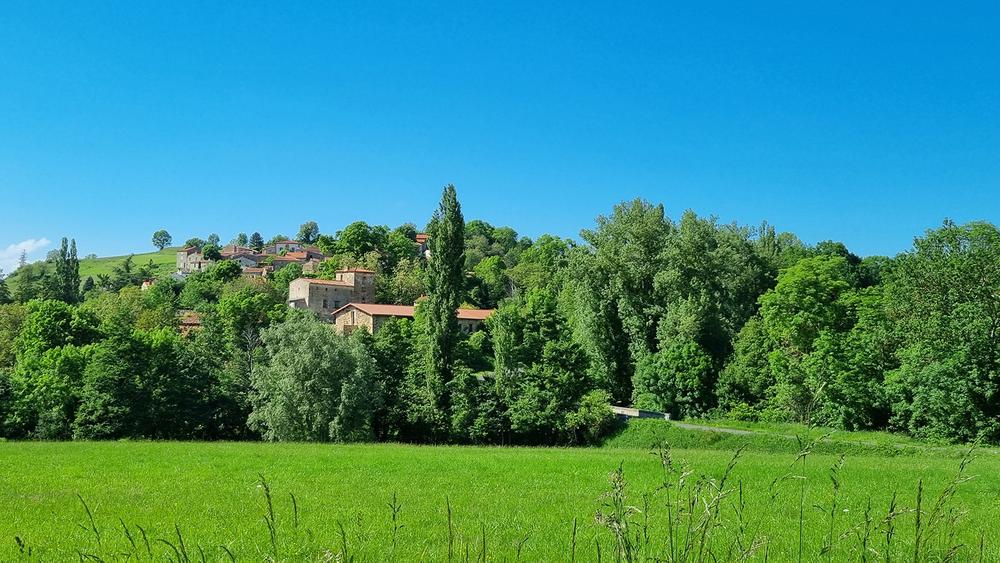 Circuit VTT n°25 – Puy de Pignols_Vic-le-Comte