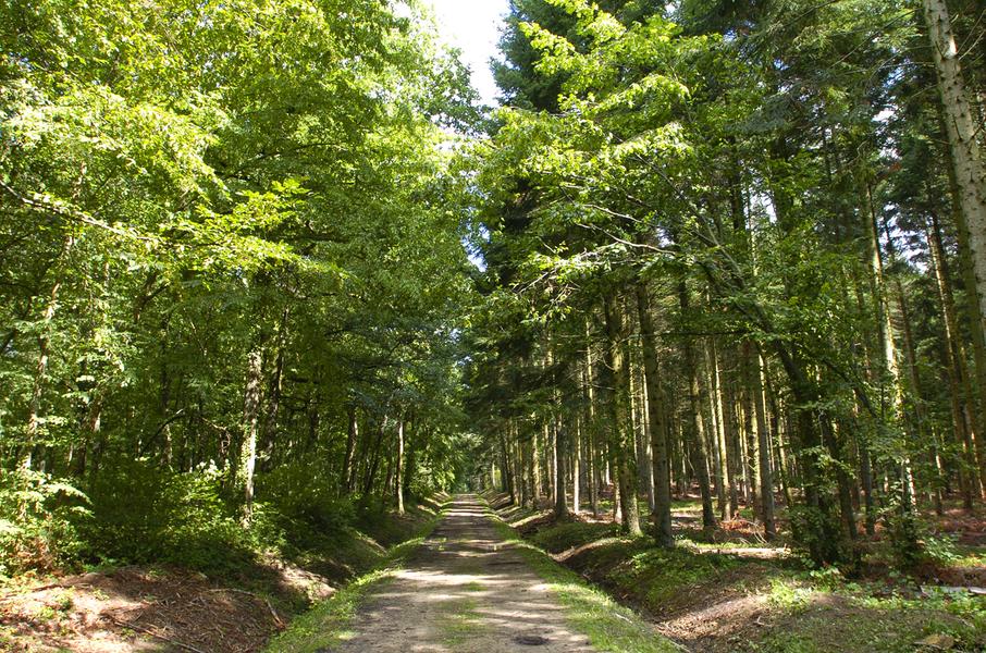 Circuit 27 – Tour de la Comté_Vic-le-Comte