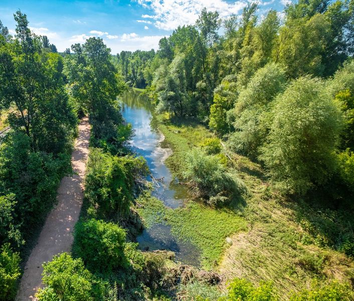 Les bords de l'Allier à Abrest