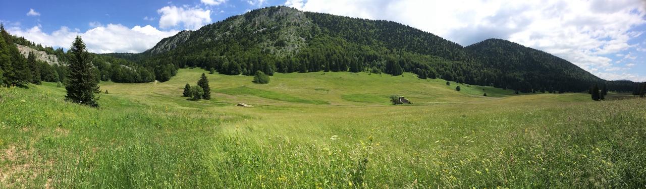 La plaine d'Herbouilly sur le circuit de la Royale