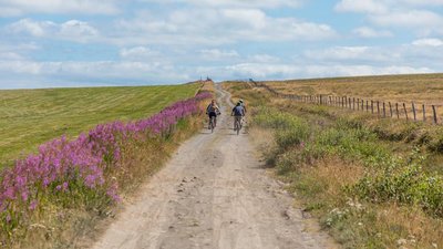 Plateau du Cézallier en VTT