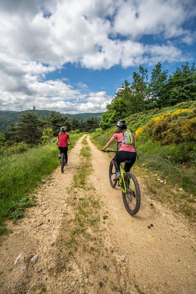 Dans les gorges de l'Allier