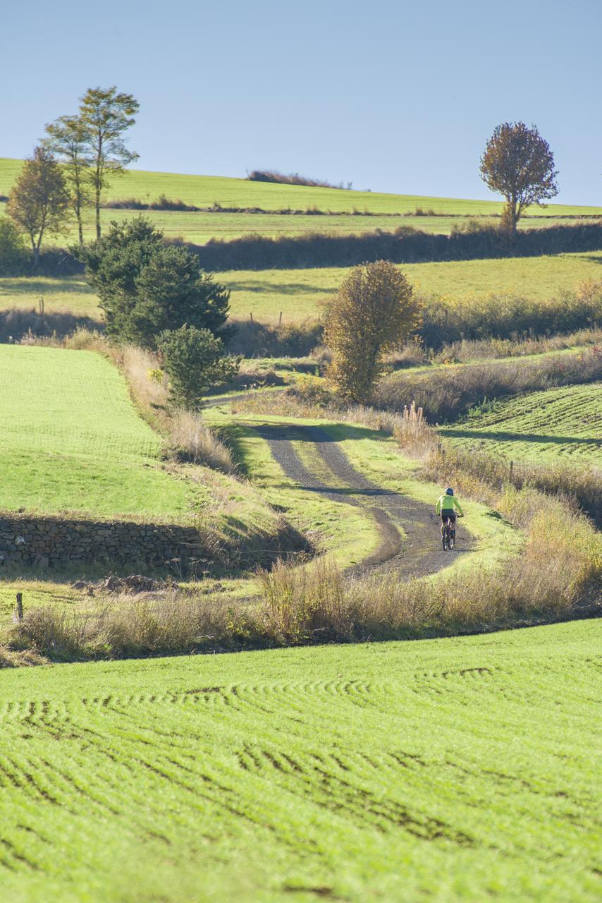 Champs dur le Devès