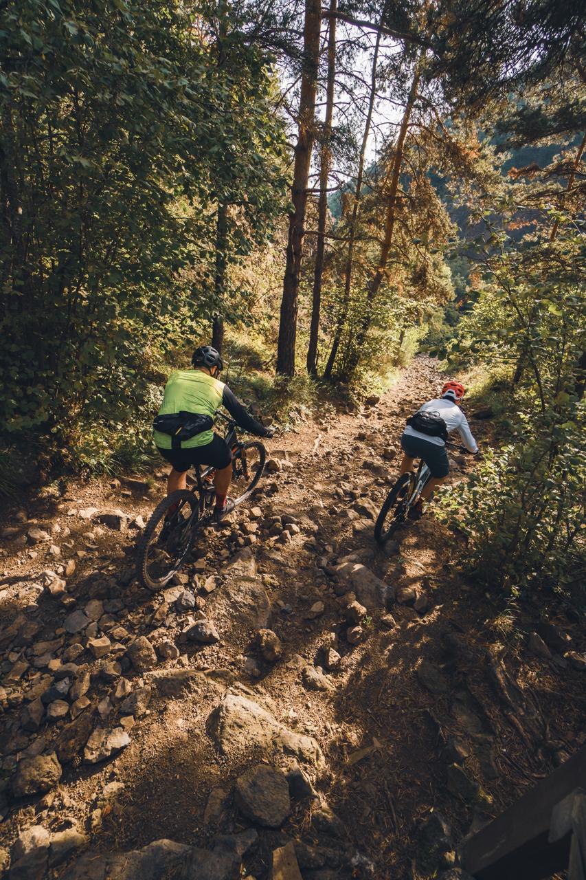 Haute-Loire Attractivité