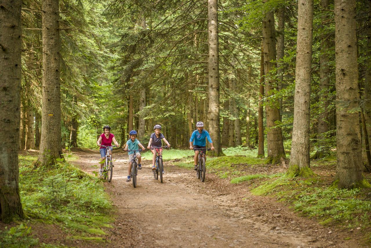 Dans les bois en famille