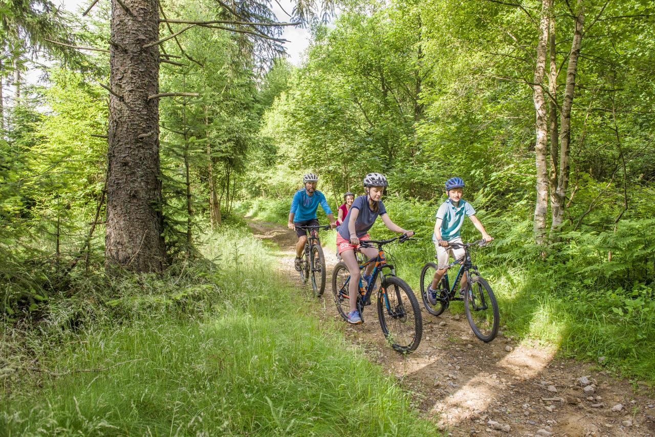 La famille trace son chemin dans les bois