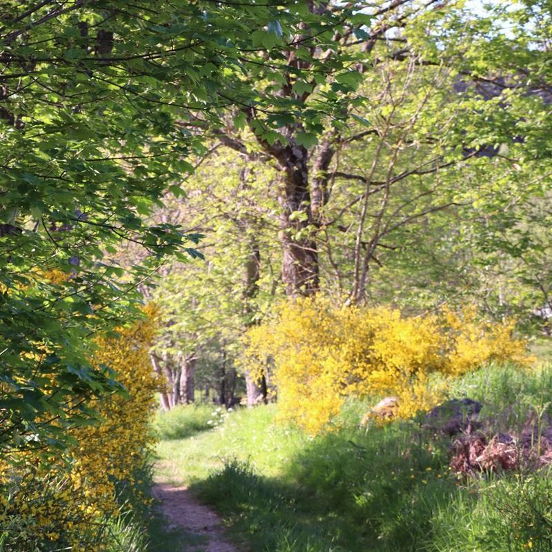 Dans les chemins en VTT