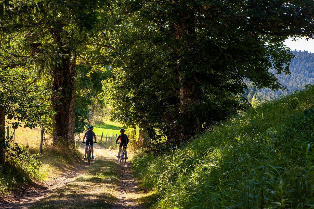 circuit VTT la Saint-Bonnette