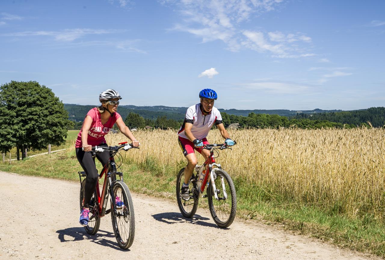 Sur les sentiers en VTT
