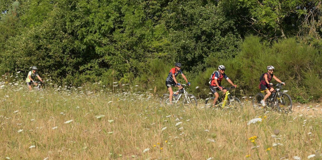 L'art de pédaler dans la nature