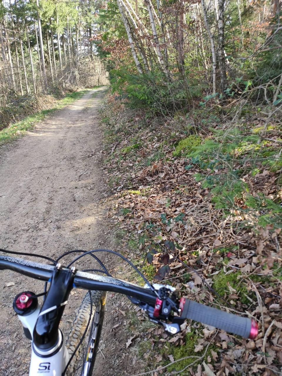 Défier les sentiers forestiers