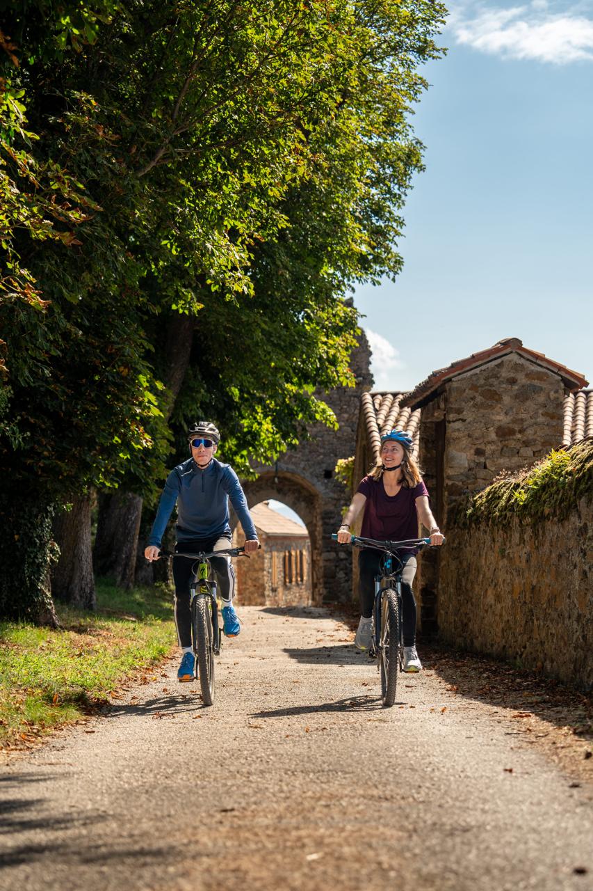 À travers ruelles et racines
