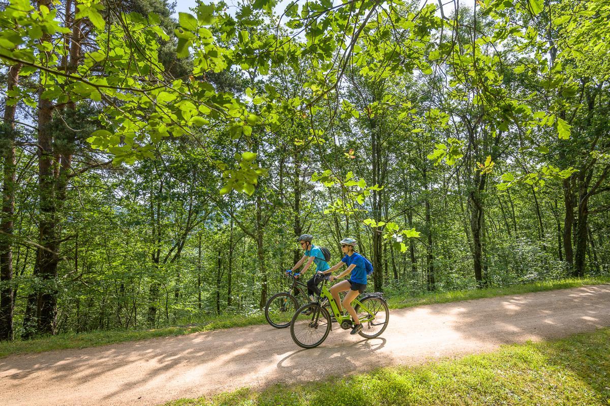 Évasion boisée en duo