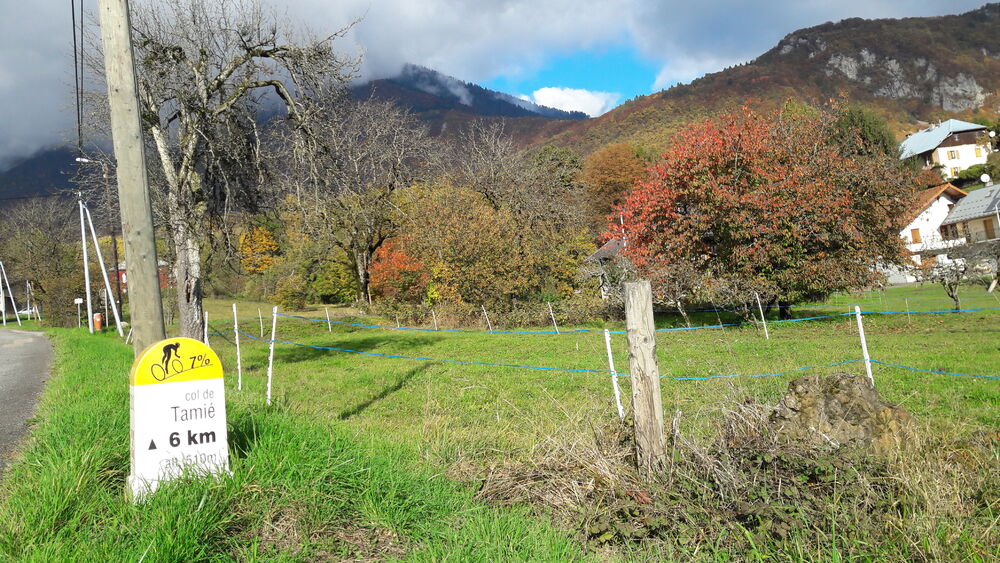 dans la montée du col de Tamié